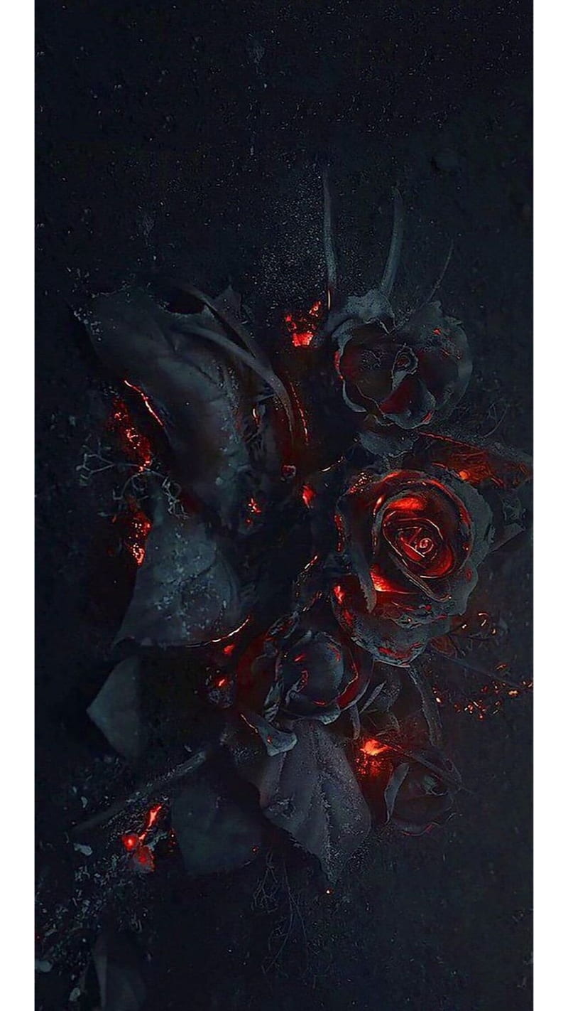 Burning roses, burning, fire, HD phone wallpaper
