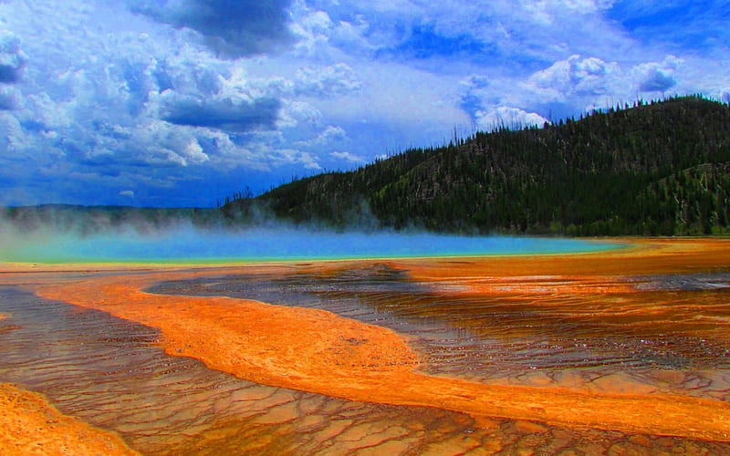 Yellowstone National Park,USA, gayser, yellowstone, nature, park, steam, trees, clouds, sky, HD wallpaper