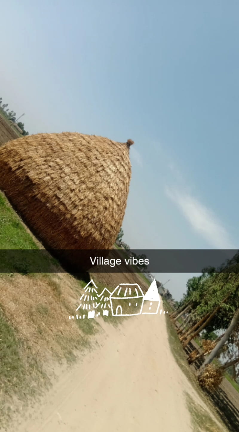 Village vibes, desi village, jatt, mera pind, old culture, pendu, HD phone wallpaper