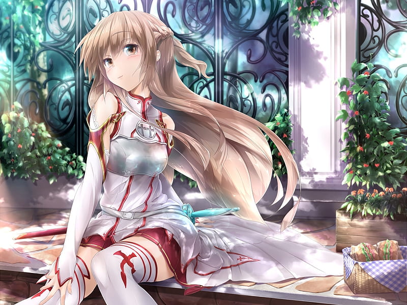 1300+ Asuna Yuuki HD Wallpapers and Backgrounds