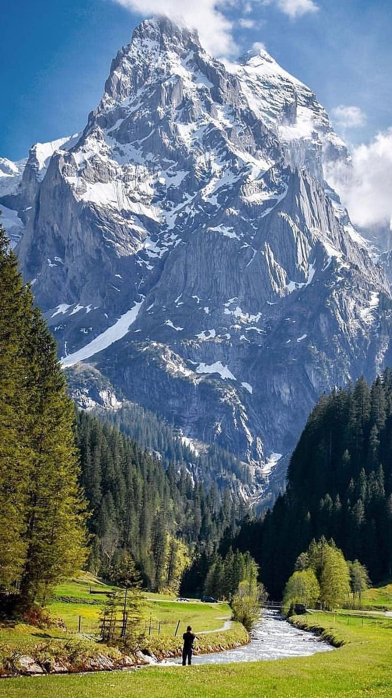 Nature For Swiss Alps, nature for, swiss alps, mountains, snow, trees, greenery, HD phone wallpaper