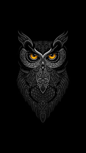 HD owl wallpapers | Peakpx