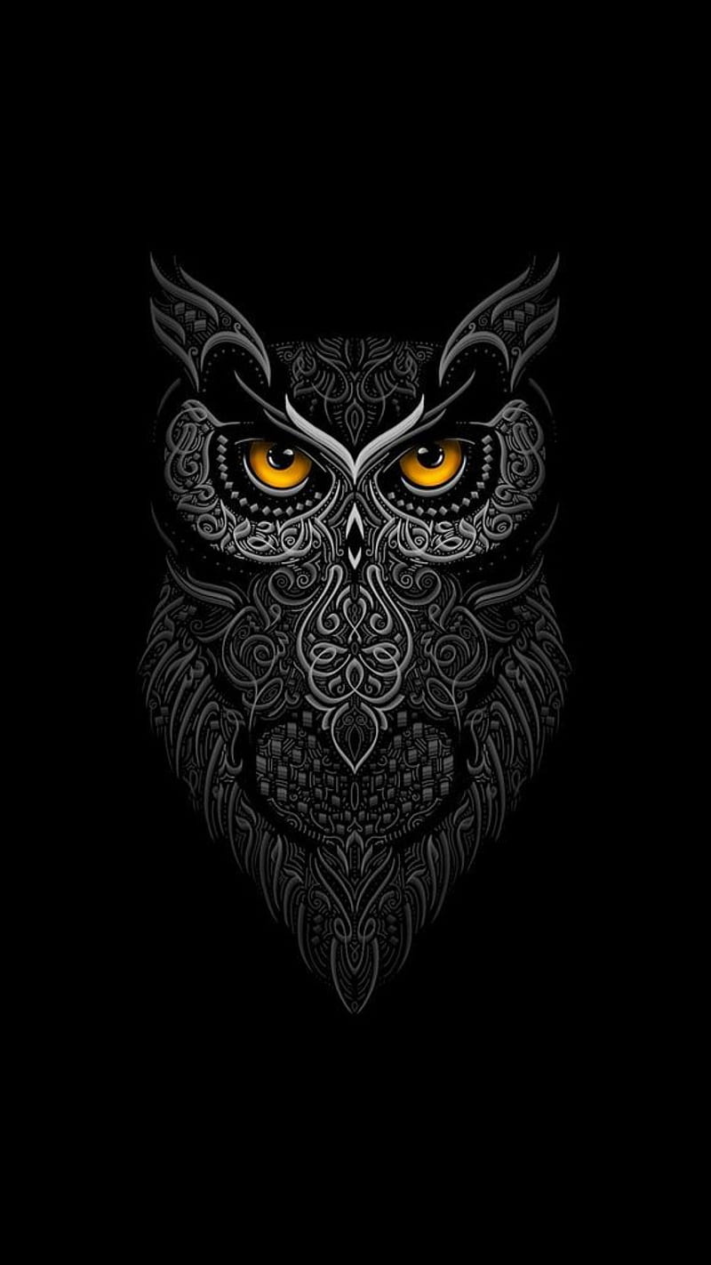 Owl, animal, bird, HD phone wallpaper | Peakpx