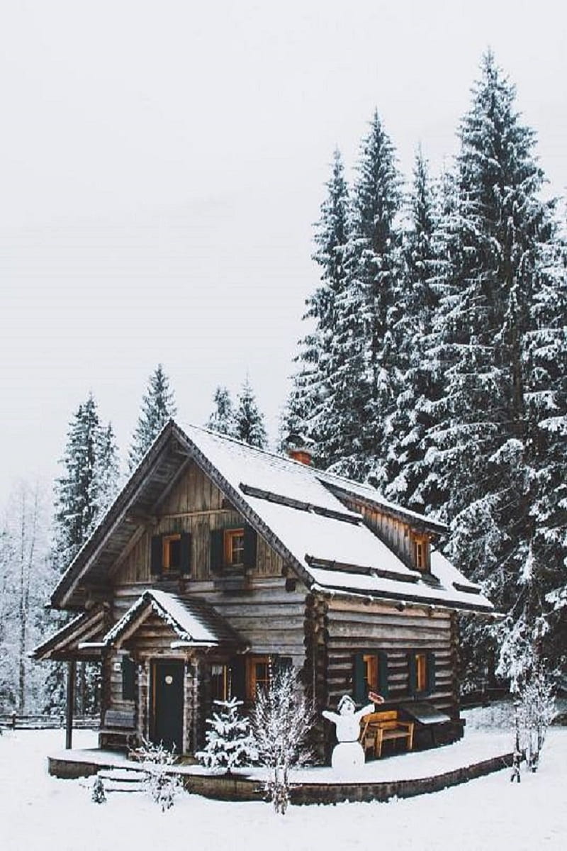 life, cabin, christmas, christmas nignt, christmas season, christmas , cottage, log, newyear19, snow, winter, HD phone wallpaper
