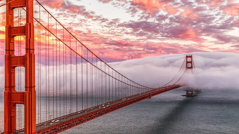 San Francisco, places, usa, bridges, HD wallpaper