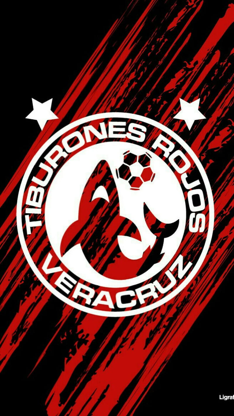 Veracruz, mexico, esports, HD phone wallpaper