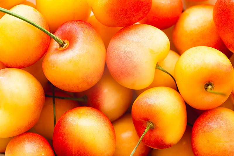 Cherries Fruit Red Vara Summer Yellow Skin Cherry Cirese