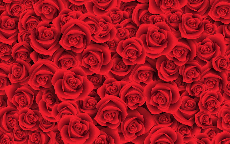 red roses texture red buds, close-up, red roses pattern, roses, red flowers, HD wallpaper