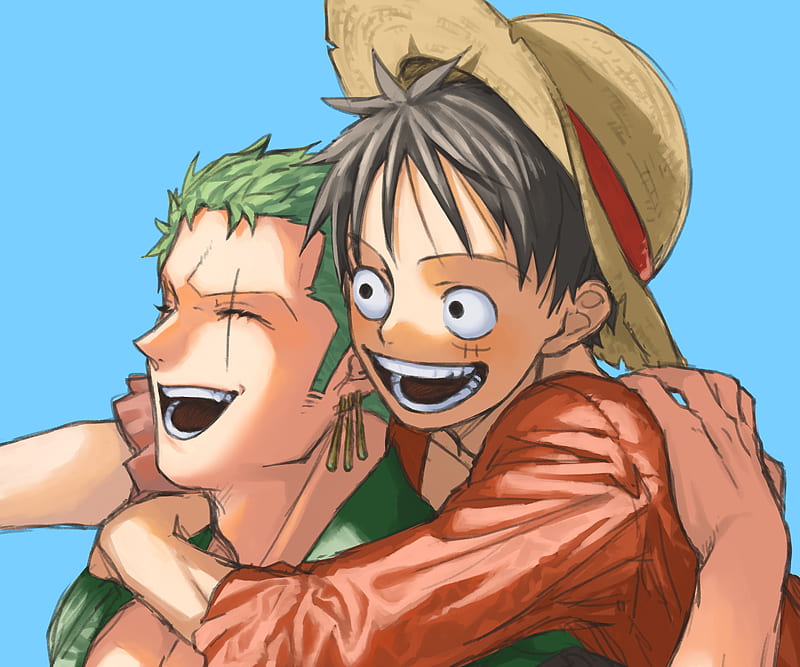 One Piece, Monkey D. Luffy , Roronoa Zoro , One Piece: Two Years Later, HD wallpaper
