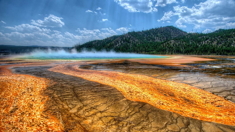 mineral colored hot springs in yellowstone r, hills, forest, minerals, hot, colors, steam, springs, HD wallpaper
