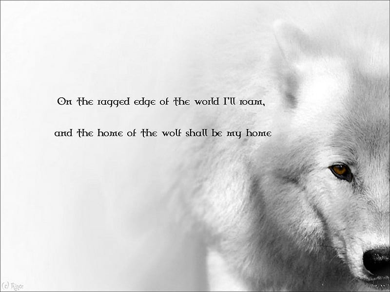 pack of wolves howling wallpaper