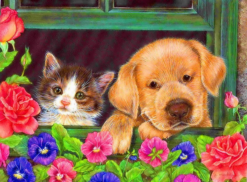 Cute friends, colorful, house, fluffy, home, bonito, adorable, door, sweet, leaves, nice, painting, flowers, friends, animals, dog, puppy, art, lovely, window, kitty, cat, yard, cute, kitten, HD wallpaper