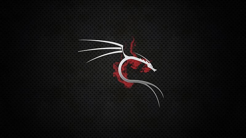 Technology, Kali Linux, HD wallpaper