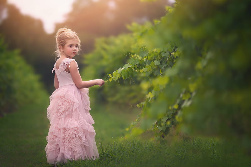 Little girl, pretty, grass, sunset, adorable, sightly, sweet, nice, beauty, face, child, bonny, lovely, pure, blonde, sky, baby, cute, white, Hair, little, Nexus, bonito, dainty, kid, graphy, fair, green, people, pink, Belle, comely, tree, girl, nature, princess, childhood, HD wallpaper