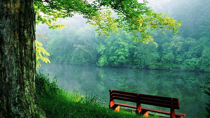 Wood Bench On Green Grass Beautiful River Trees Reflection On Water Nature, HD wallpaper