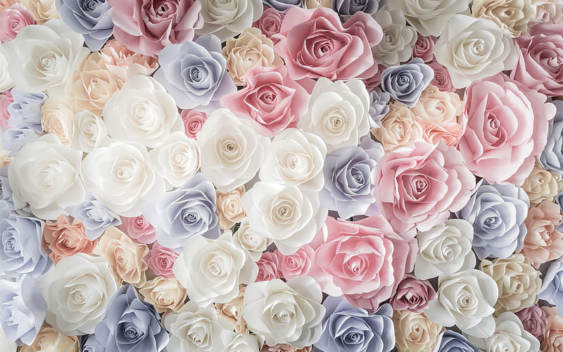 Roses, rose, texture, flower, pastel, white, pink, blue, HD wallpaper