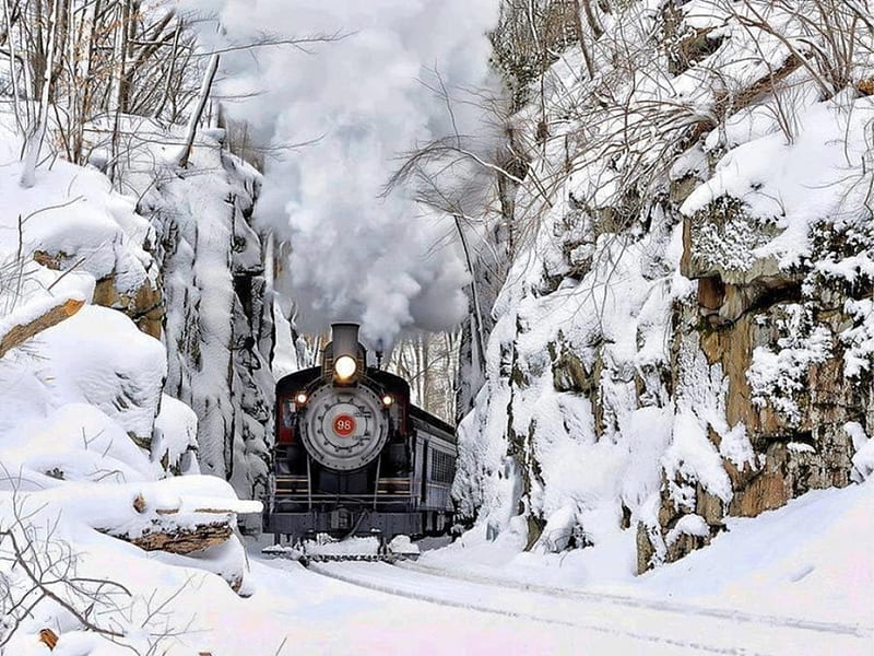 Winter Train, train, snow, bonito, white, smoke, winter, HD wallpaper