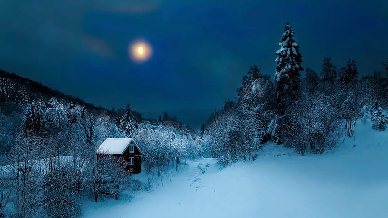 Winter Night in Moonlight