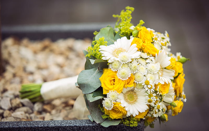 white yellow wedding bouquet, white roses, yellow gerberas, chrysanthemums, bridal bouquet, HD wallpaper