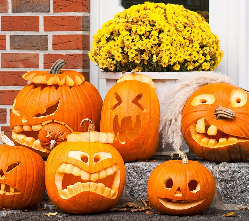 PUMPKINS, halloween, orange, pumpkin, scary, september, smile, HD wallpaper