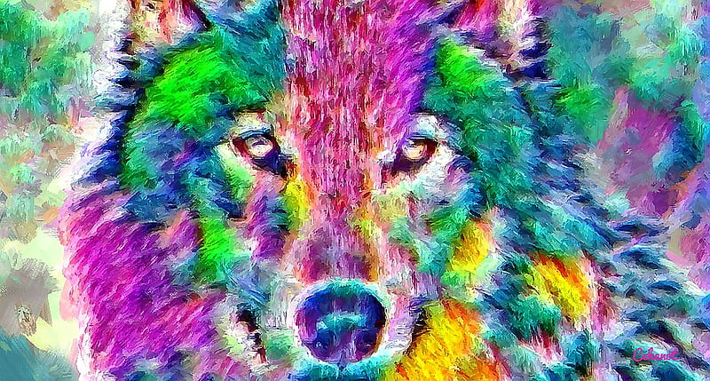 Wolf, colorful, art, yellow, cehenot, abstract, animal, green, painting,  lup, HD wallpaper | Peakpx