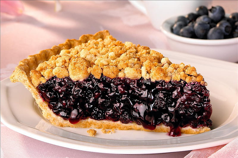 Nice Blueberry Pie, fruit, bakery, crust, blueberry, plate, pie, abstract, dessert, HD wallpaper
