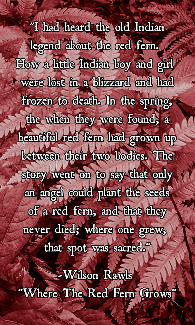 Legend, plats, quotes, red fern, school, story, HD phone wallpaper