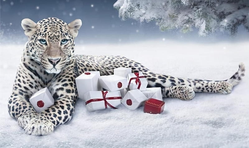 :), add, cartier, craciun, christmas, jaguar, advertise, gift, animal, commercial, HD wallpaper