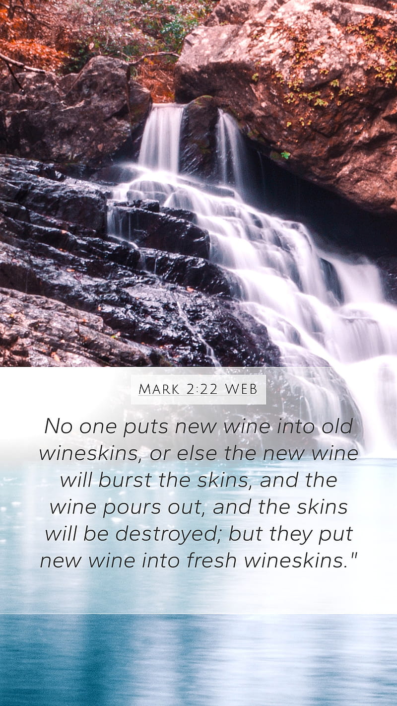 Mark 2:22 WEB Mobile Phone - No one puts new wine into old wineskins, or else, Mark2, HD phone wallpaper
