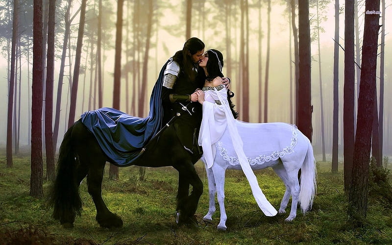 Centaur Couple, forest, fantasy, horse, couple, HD wallpaper