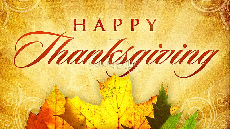 Happy Thanksgiving Word With Leaves Thanksgiving, HD wallpaper