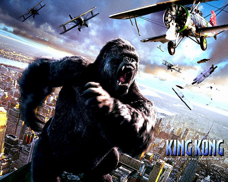 King Kong , action, kong - movies - dvd - adventure, hollywood, movies, peter jackson, king kong, adventure, HD wallpaper