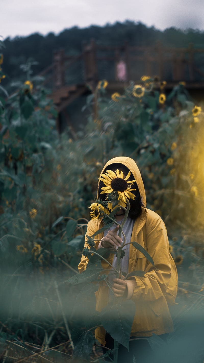 Hide Face Girl With Sunflower, hide face girl, HD phone wallpaper ...