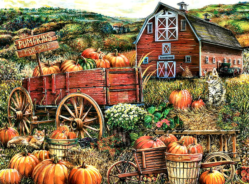 Pumpkin Farm F, architecture, bonito, illustration, artwork, farm, painting, wide screen, scenery, art, planting, pets, feline, wagon, cats, crops, pumpkins, landscape, HD wallpaper