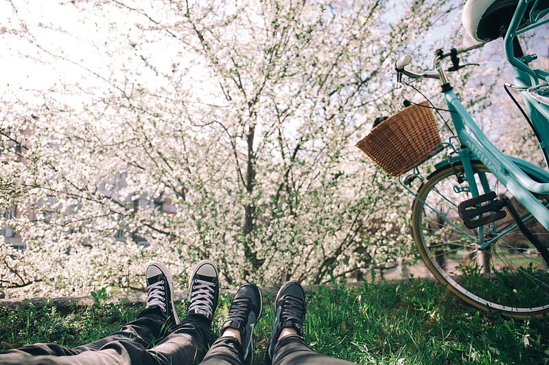 two person lying on grass near teal city bike, HD wallpaper
