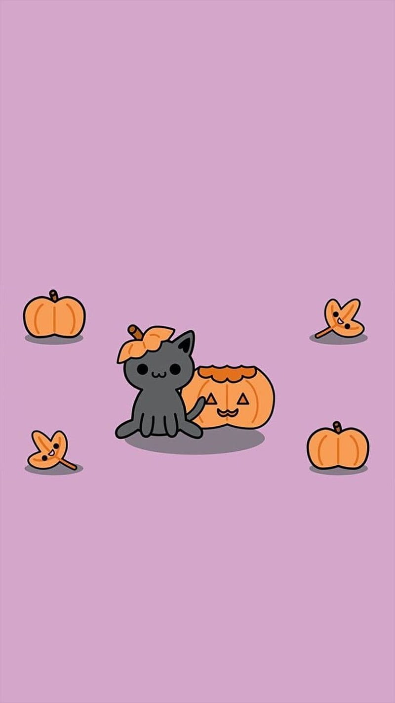Halloween kitty, cats, cute, decoration, halloween, orange, purple, HD phone wallpaper