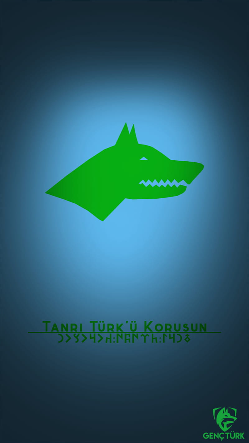 GencTurk Gokturk, bozkurt, turk, turk devletleri, turkiye, HD phone wallpaper