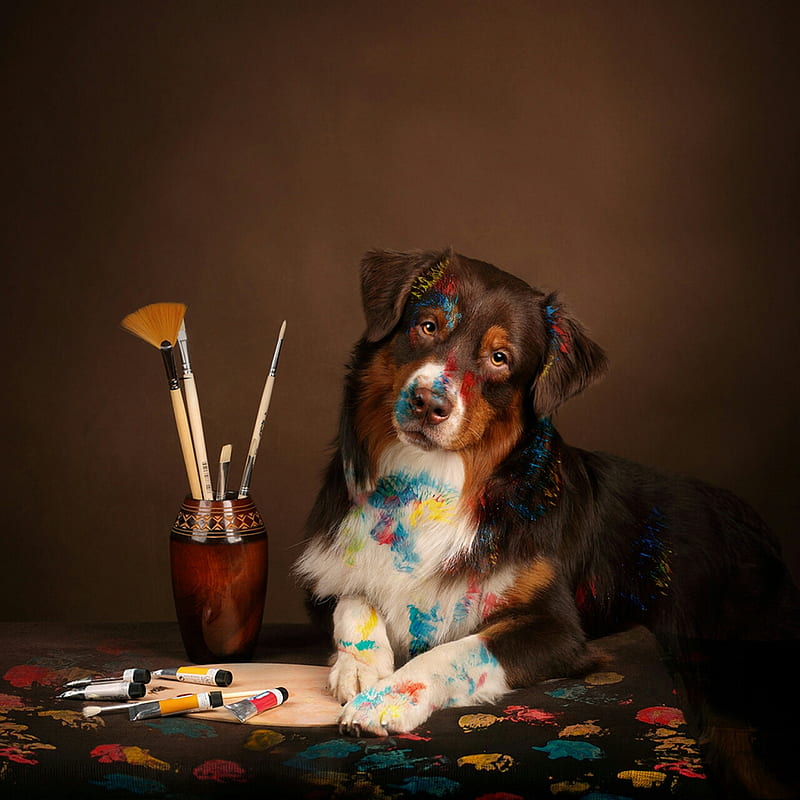 Paw Painting, dog, paints, HD phone wallpaper