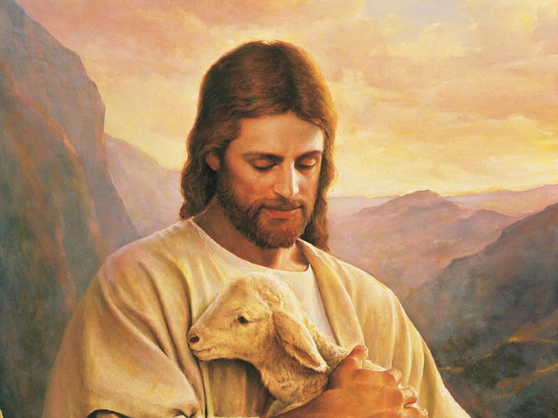 Jesus carry the lamb, christ, jesus, lamb, shepherd, god, HD wallpaper