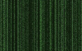 matrix , code, matrix, HD wallpaper