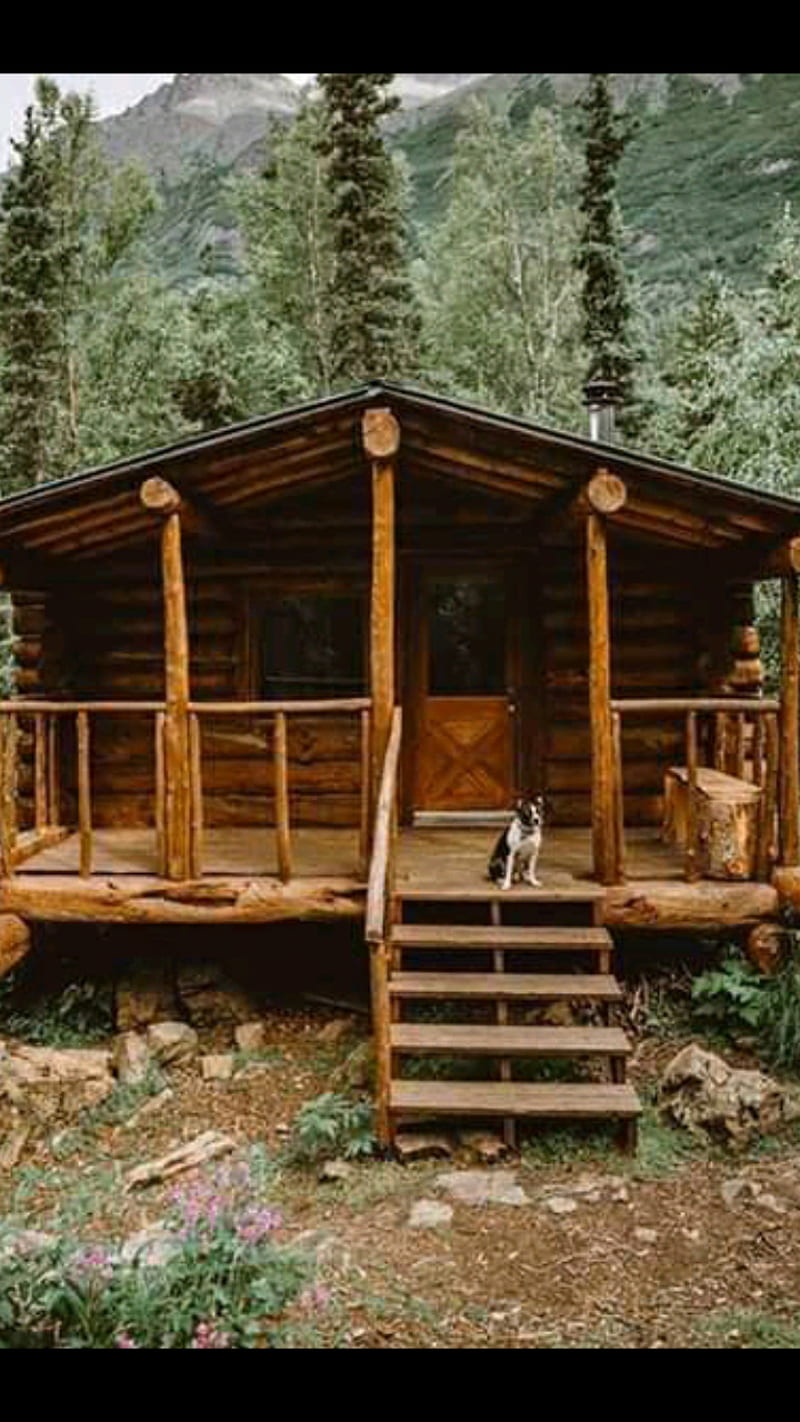 cabin camping in the woods
