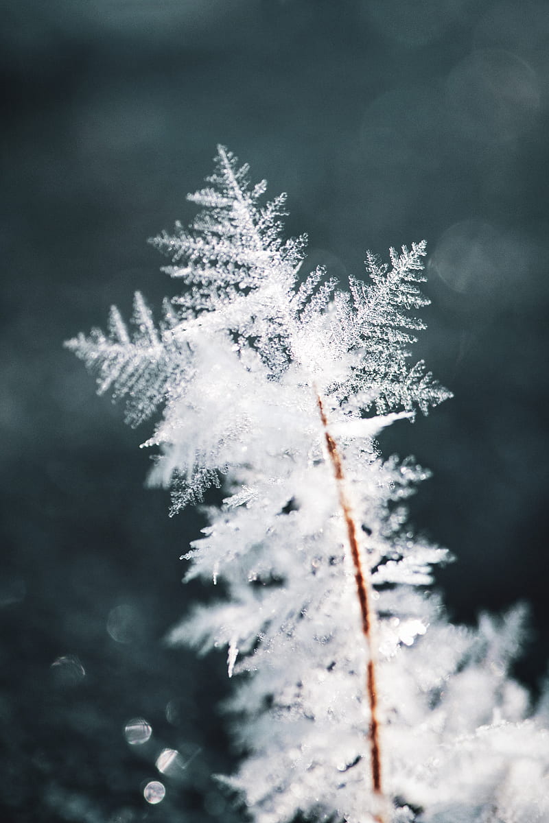 snowflake, snow, ice, macro, pattern, HD phone wallpaper