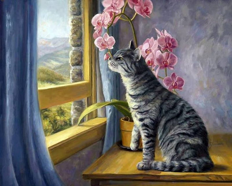 Cat Smelling Orchids, art, orchids, flowers, sniffing, cat, pink, HD wallpaper