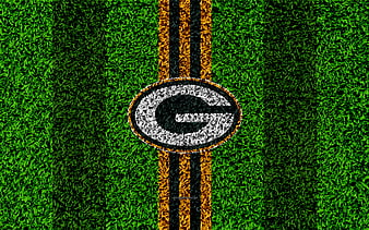 New York Jets, logo grass texture, emblem, football lawn, green white  lines, HD wallpaper