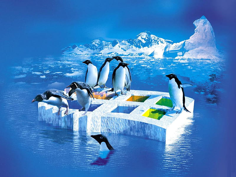 Penguins On Windows Logo !!!, 3d-art, penguin, abstract, sea, windows, logo, snow, windowslogo, blue, HD wallpaper