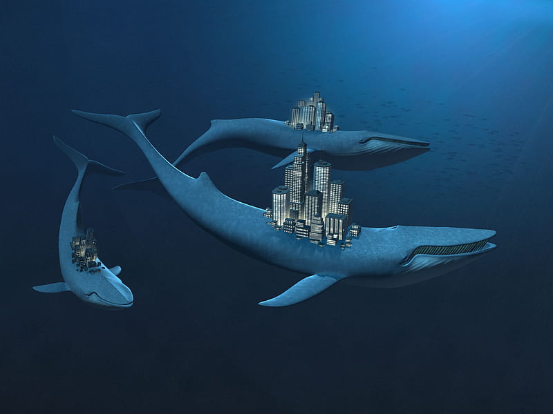 3D Underwater Refuge, cool, HD wallpaper | Peakpx