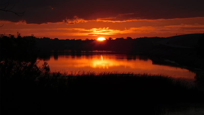 Lake Champlain sunset, red, sun, orange, sunset, reeds, lake sunset, trees, clouds, Lake Champlain, water, HD wallpaper