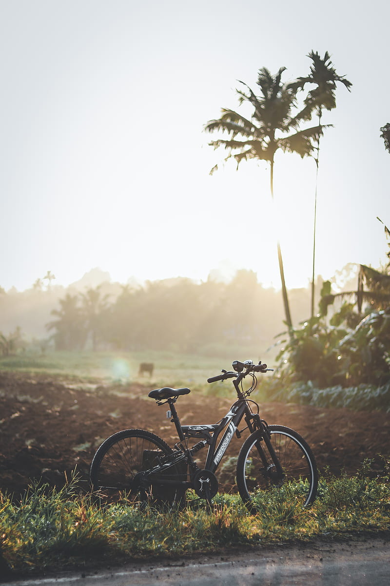 Sunrise, bicycle, mountain, paddy, sun, HD phone wallpaper