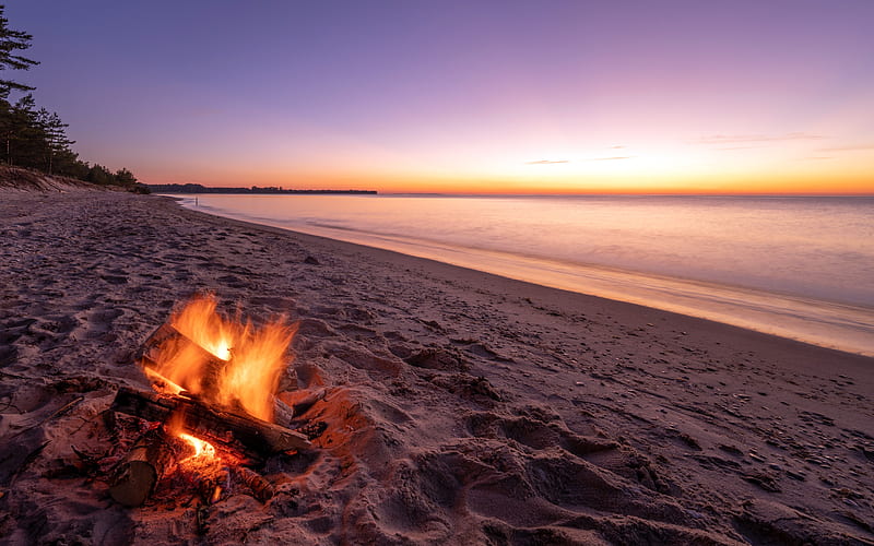 Bonfire Coast Sunset Beach Lane County Estonia, HD wallpaper
