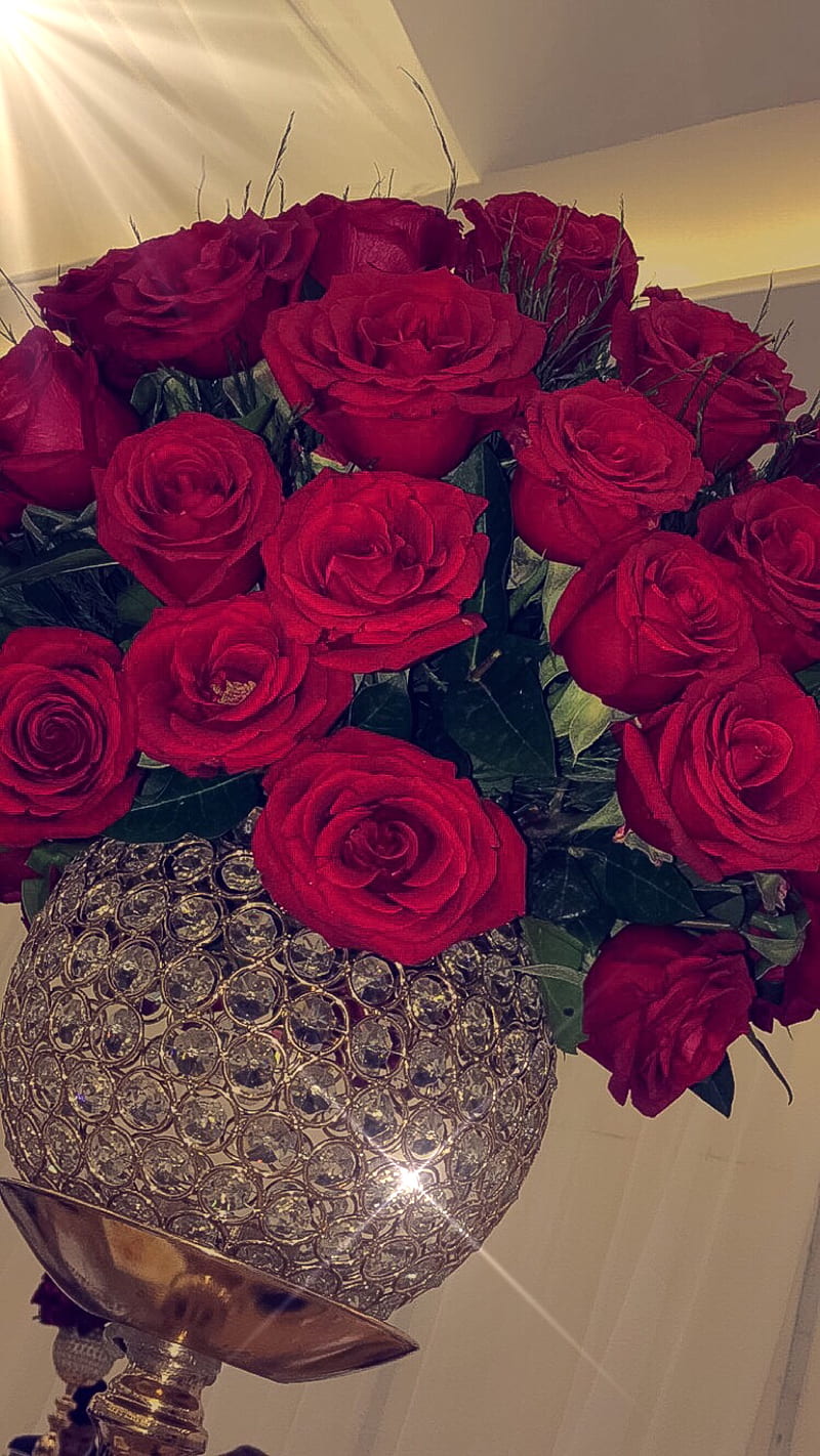 Roses, beaituful, bouquet, redroses, rose, sparkle, sparkly, HD phone wallpaper